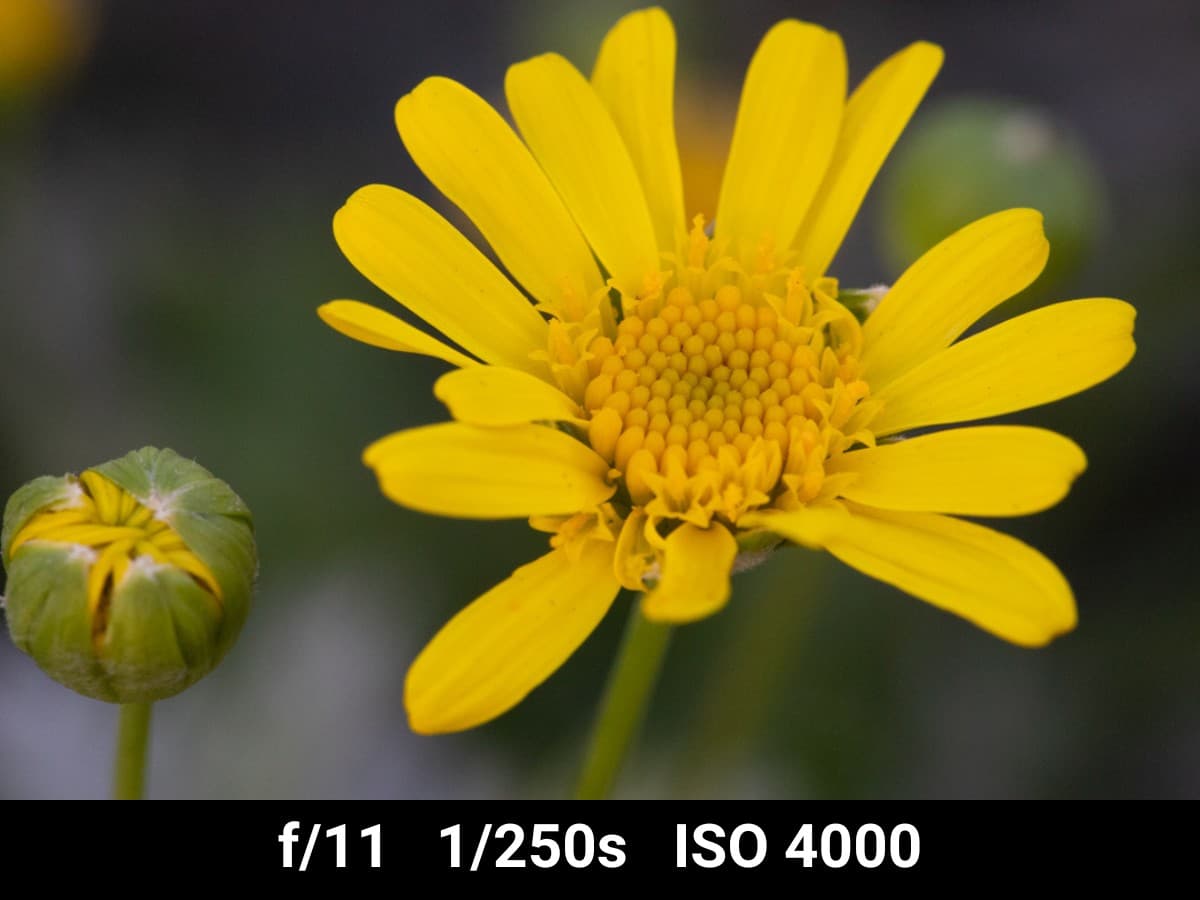 Canon EF 100mm f2.8L Macro test f-stop range.