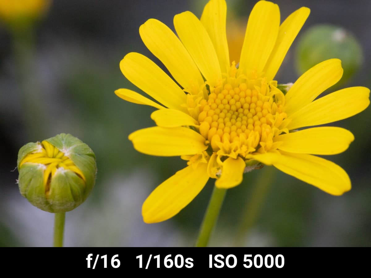 Canon EF 100mm f2.8L Macro test f-stop range.