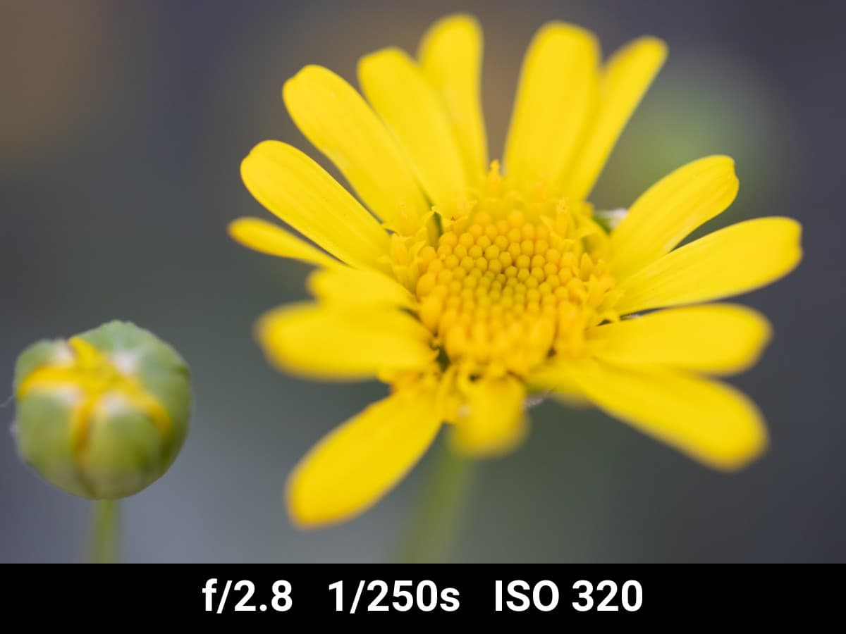 Canon EF 100mm f2.8L Macro test f-stop range.