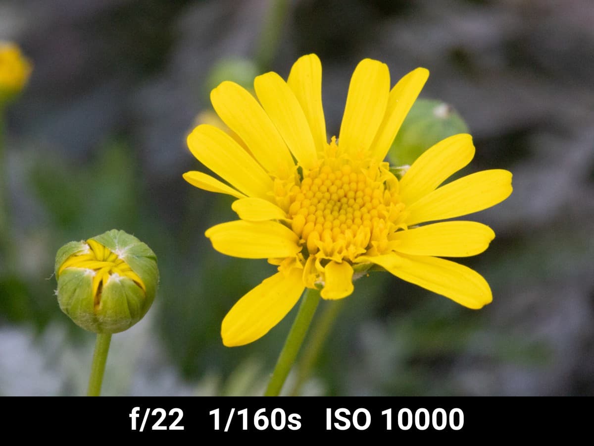 Canon EF 100mm f2.8L Macro test f-stop range.
