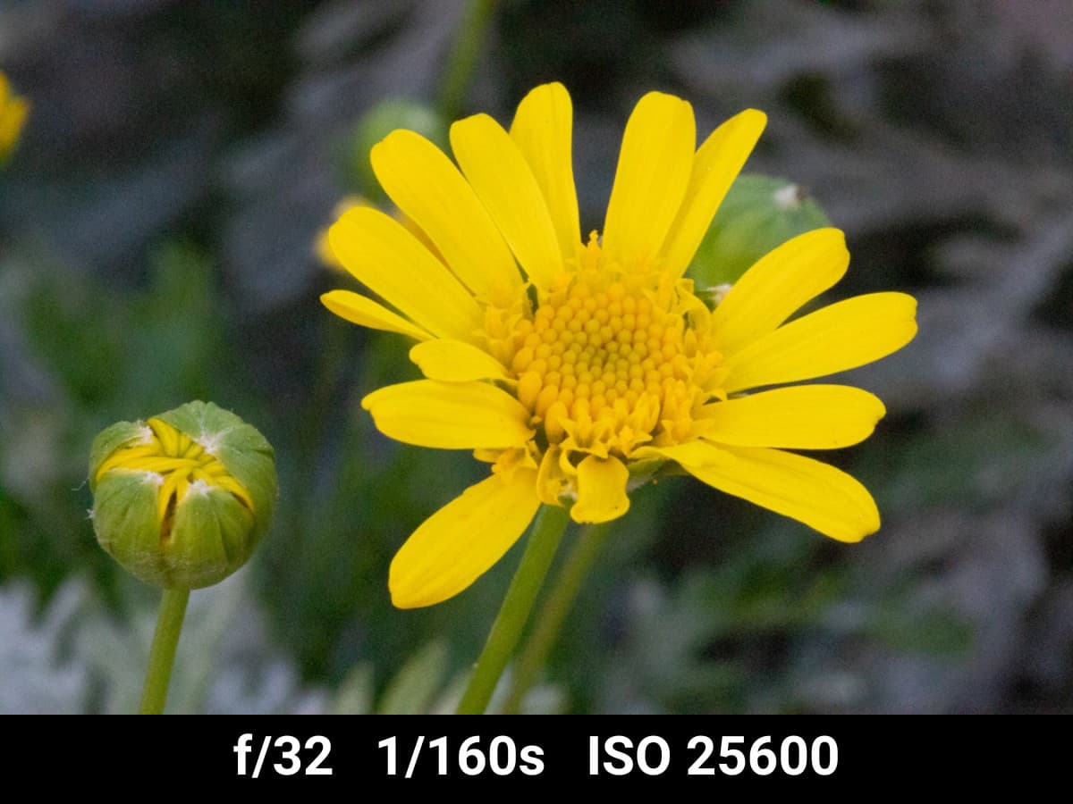 Canon EF 100mm f2.8L Macro test f-stop range.