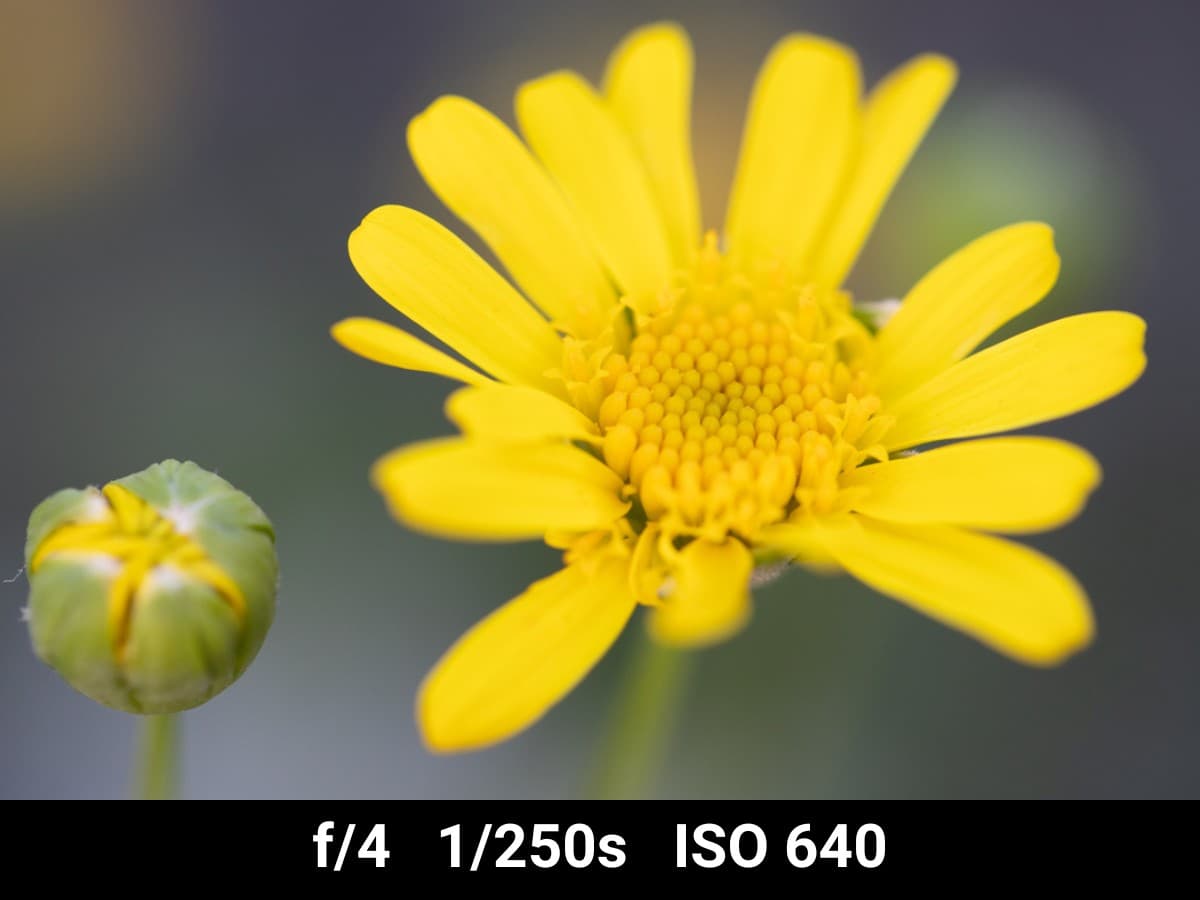Canon EF 100mm f2.8L Macro test f-stop range.