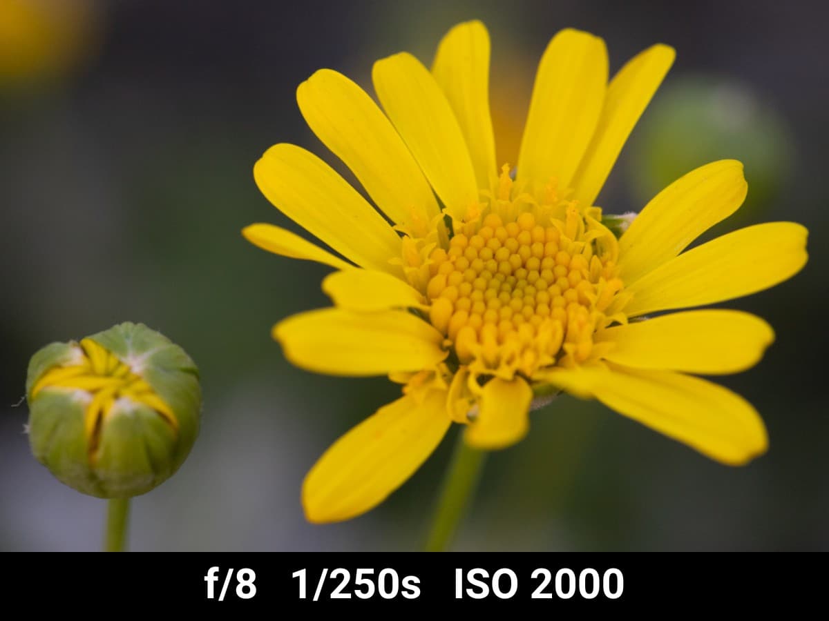 Canon EF 100mm f2.8L Macro test f-stop range.