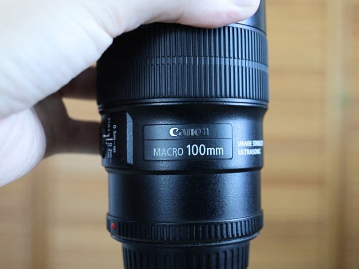Holding the Canon EF 100mm f/2.8L Macro.