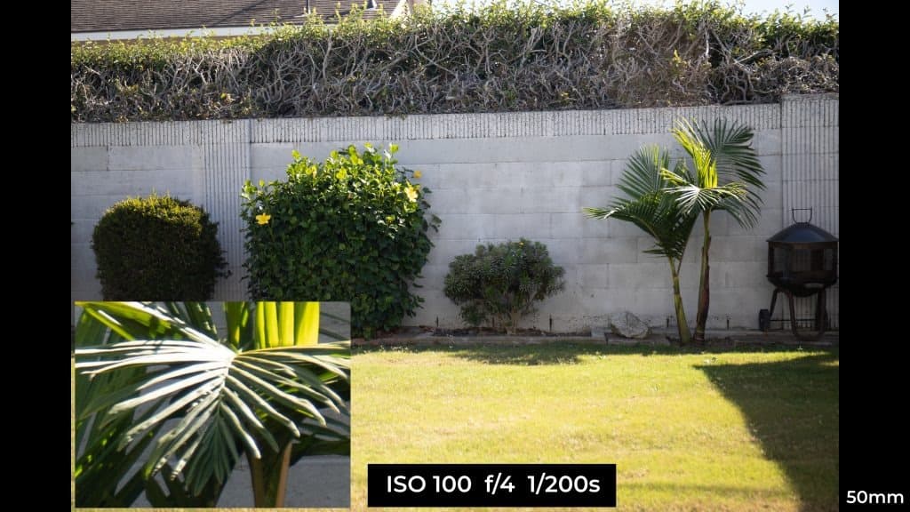 Canon EF 24-70mm f4L ISM macro photo example.