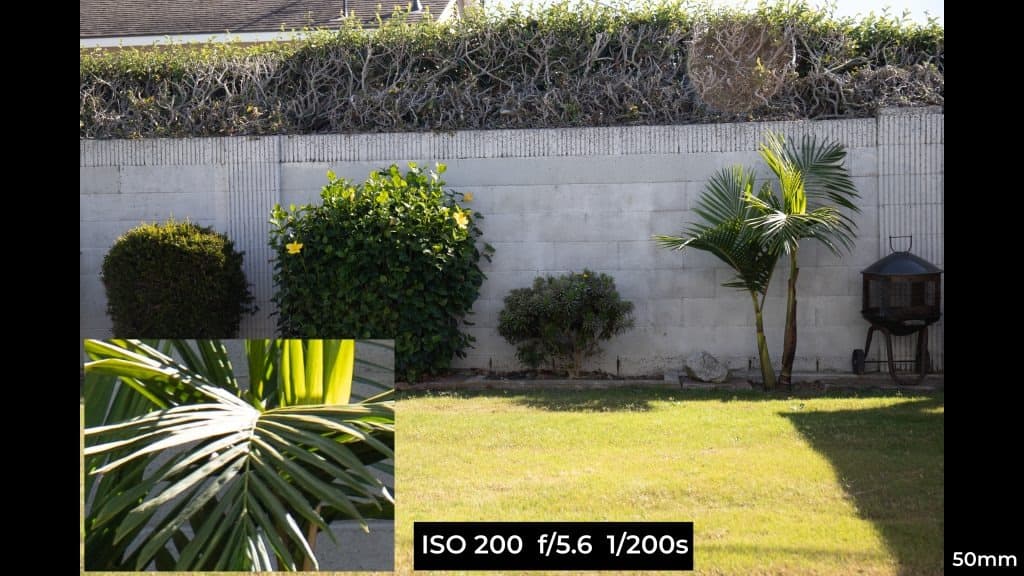 Canon EF 24-70mm f4L ISM macro photo example.