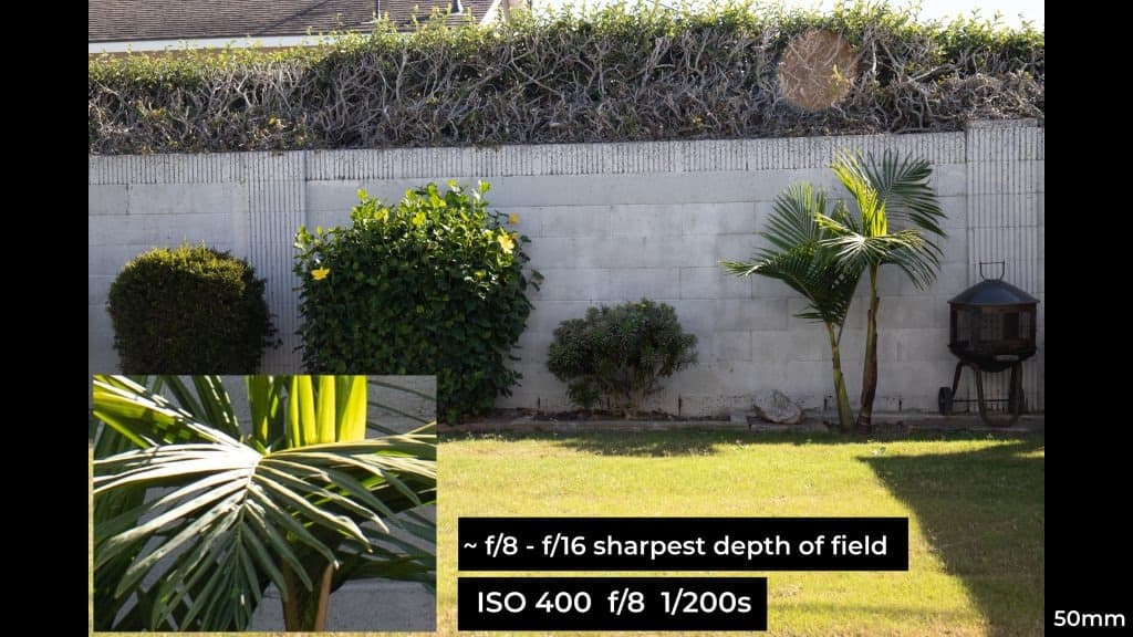 Canon EF 24-70mm f4L ISM macro photo example.
