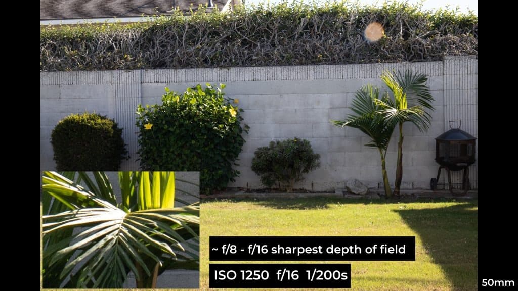 Canon EF 24-70mm f4L ISM macro photo example.