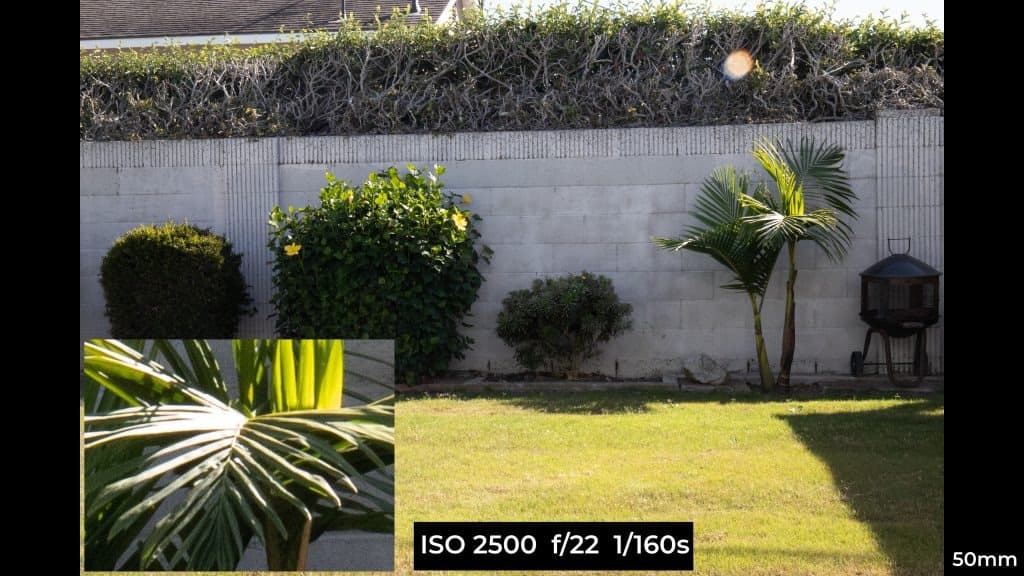 Canon EF 24-70mm f4L ISM macro photo example.