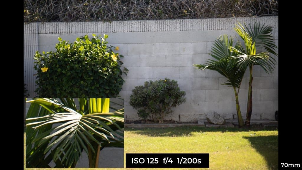 Canon EF 24-70mm f4L ISM macro photo example.