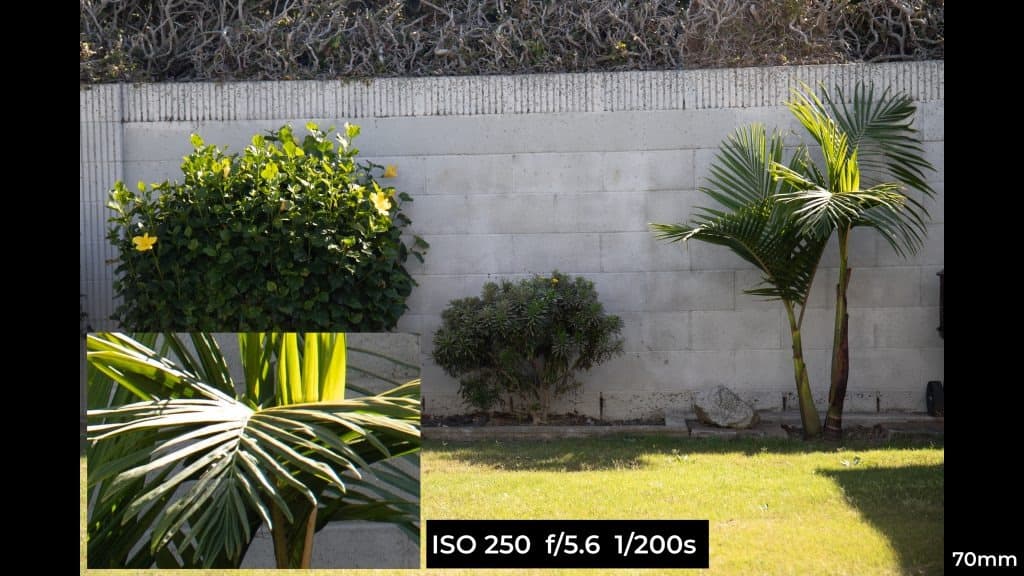 Canon EF 24-70mm f4L ISM macro photo example.