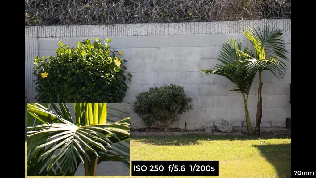 Canon EF 24-70mm f4L ISM macro photo example.