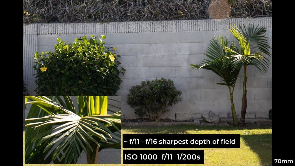 Canon EF 24-70mm f4L ISM macro photo example.