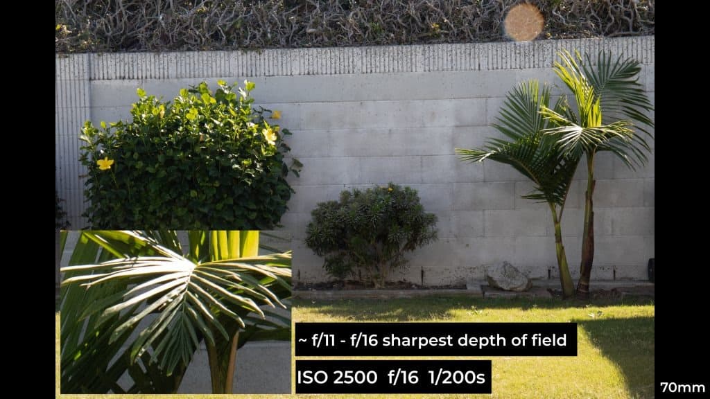 Canon EF 24-70mm f4L ISM macro photo example.