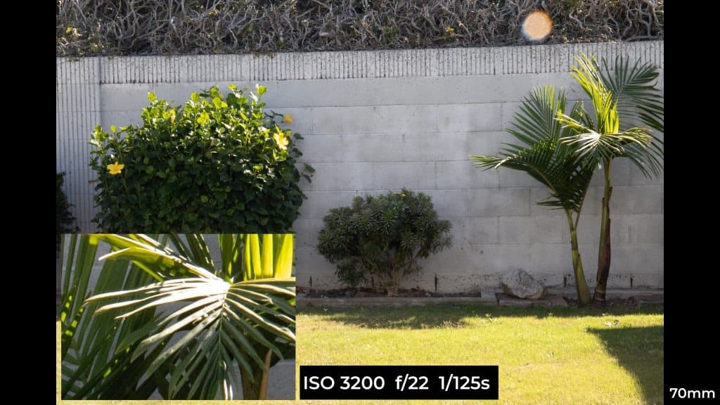 Canon EF 24-70mm f4L ISM macro photo example.