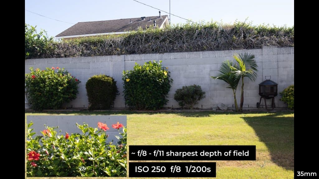 Canon EF 24-70mm f4L ISM macro photo example.