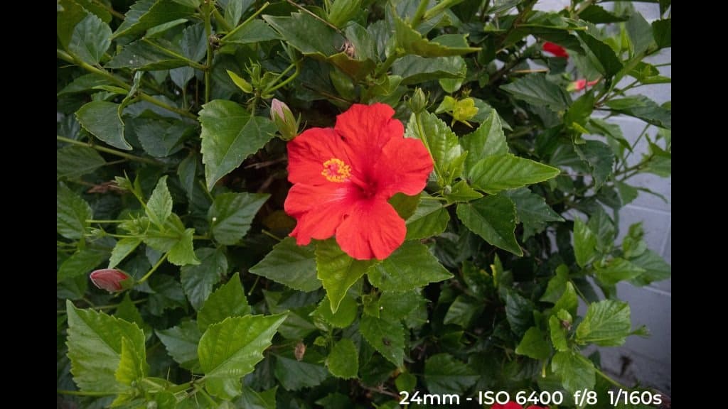 Canon EF 24-70mm f4L ISM low light test image.