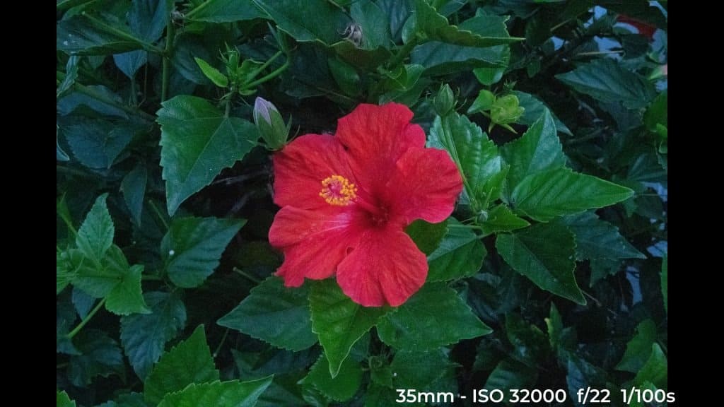 Canon EF 24-70mm f4L ISM low light test image.