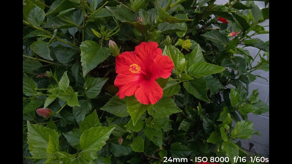 Canon EF 24-70mm f4L ISM low light test image.