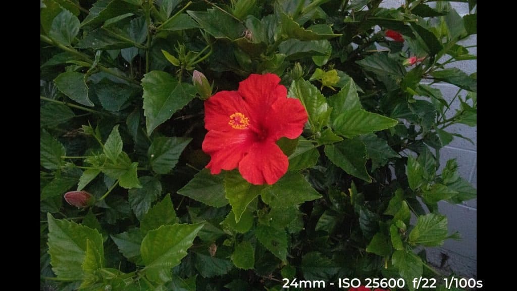 Canon EF 24-70mm f4L ISM low light test image.