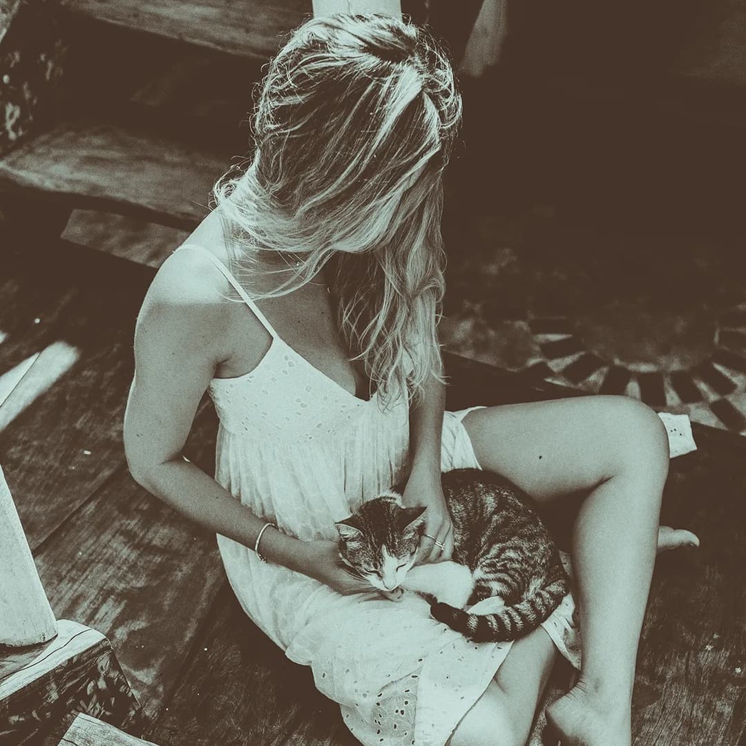 Woman petting cat.