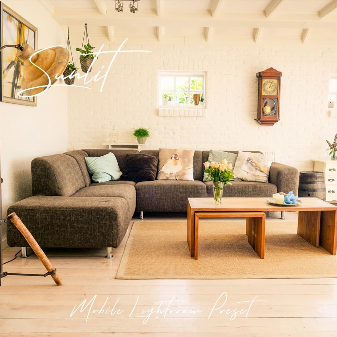 Furniture arranged neatly in a sunlit room.