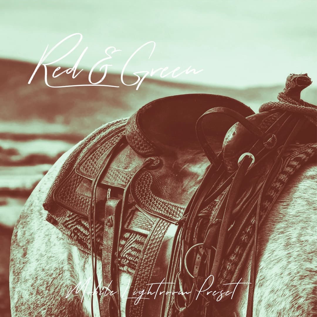 Horse wearing a saddle in a red and green photo.
