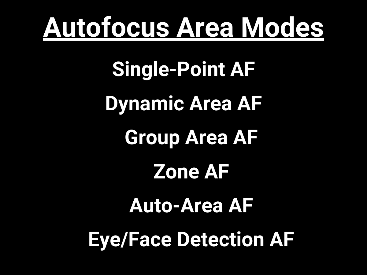 Graphic showing all the autofocus area modes.