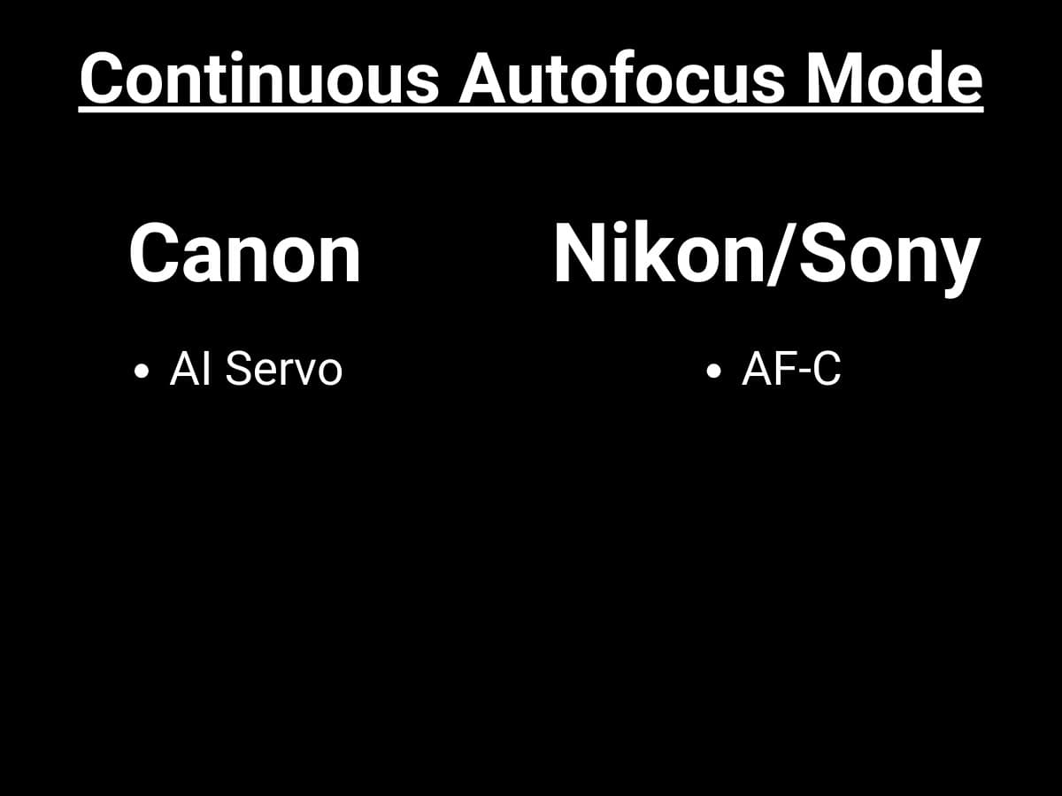 Graphic showing continuous autofocus mode different camera brands.