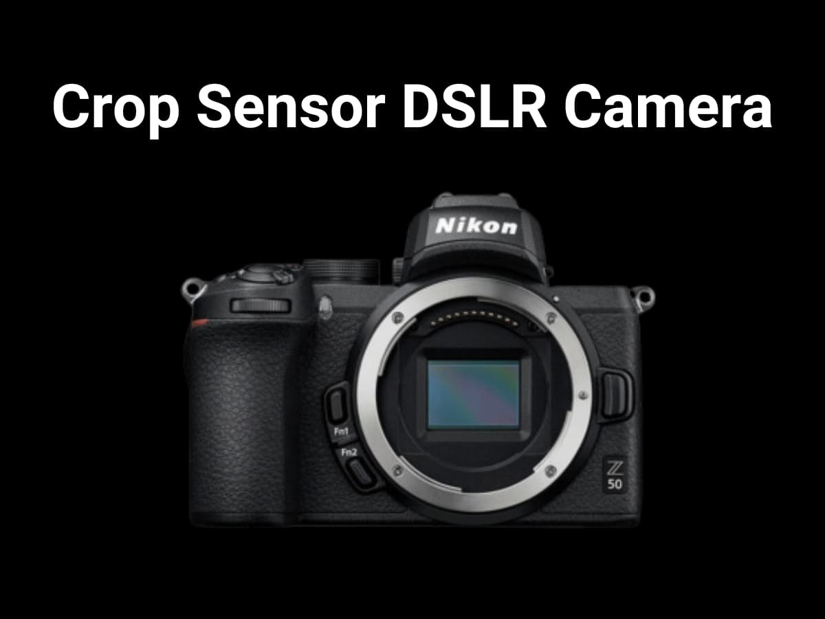 A graphic of a crop sensor camera.