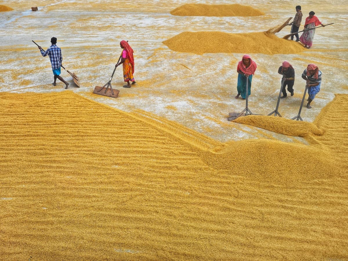 Workers shoveling sand.
