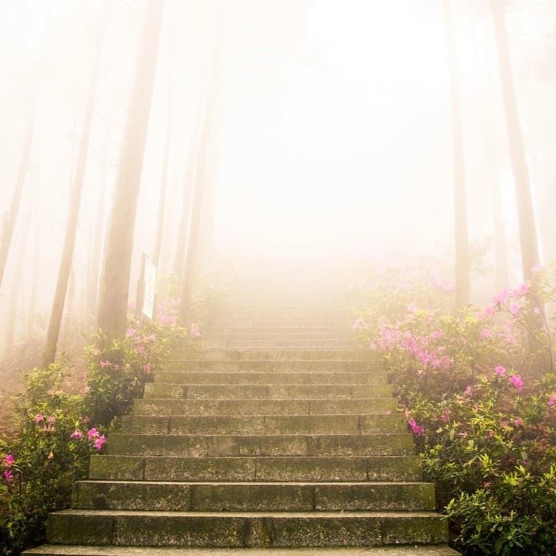 Stone stairs leading up to light.