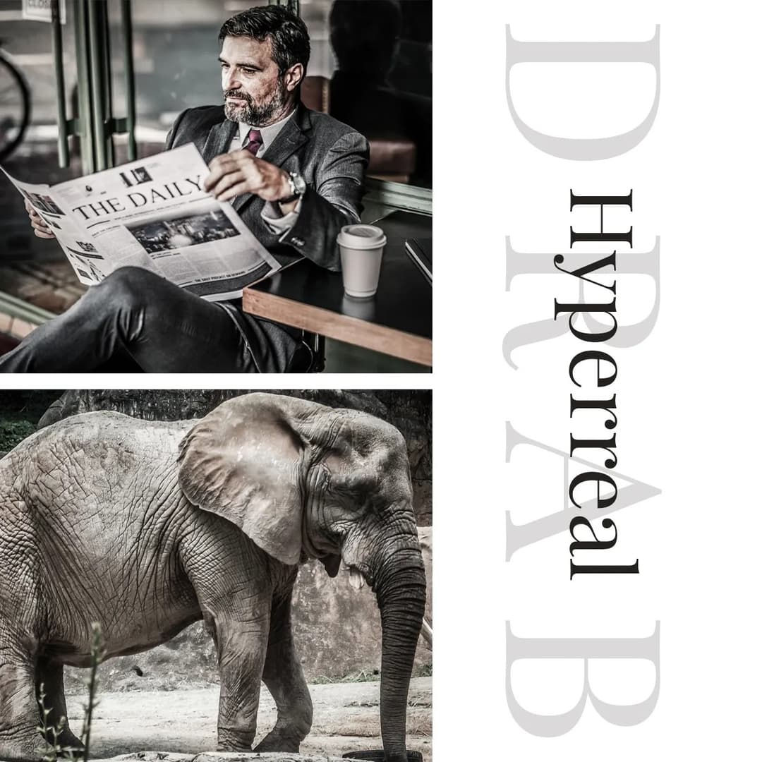 Image of man and elephant stacked on top of eachother.