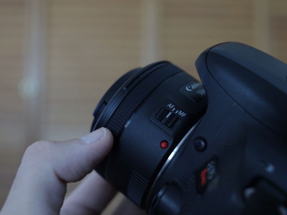 Canon EF 50mm f/1.8 focus ring.