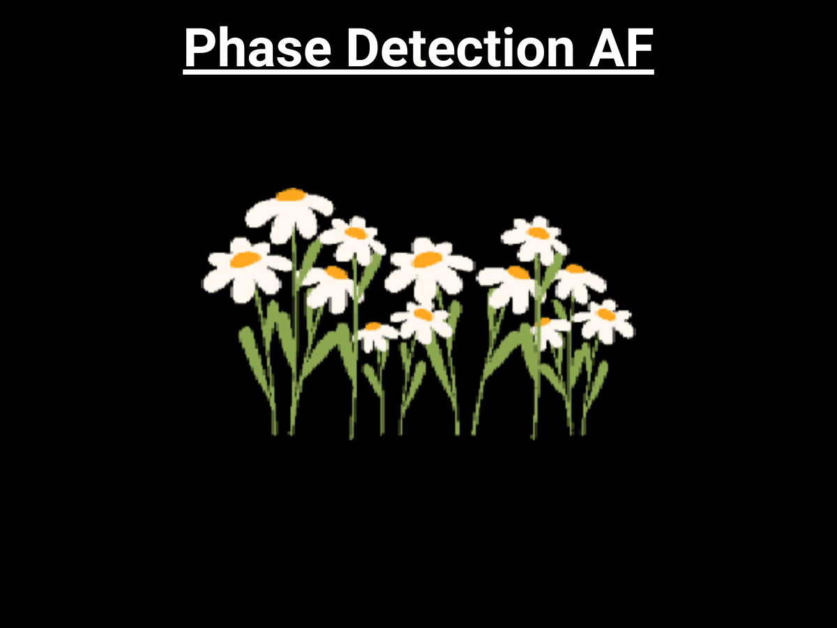 Graphic showing Hybrid AF first uses phase detection AF to line up.