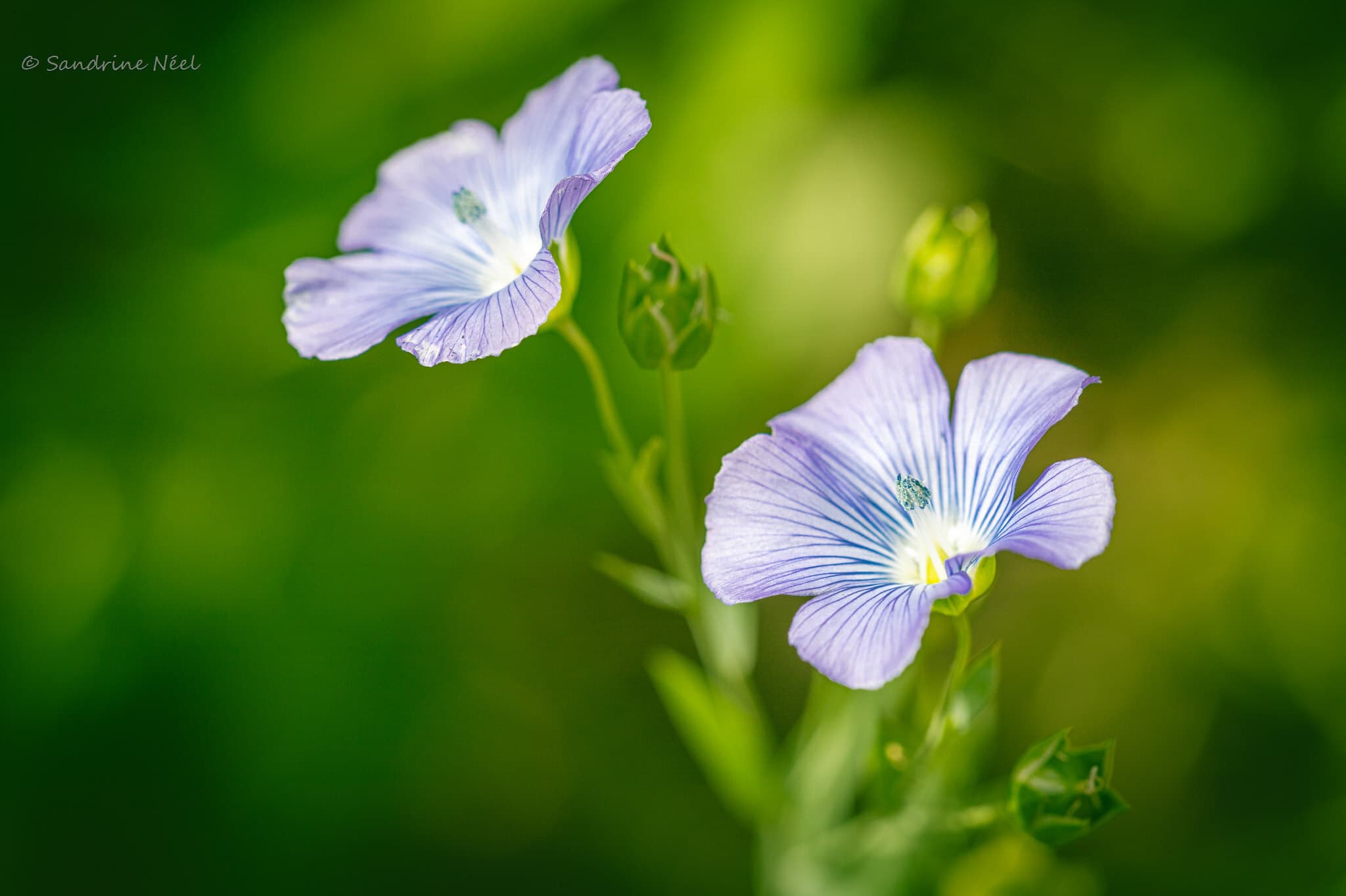 Sample image 2 taken with Canon EOS 6D Mark II