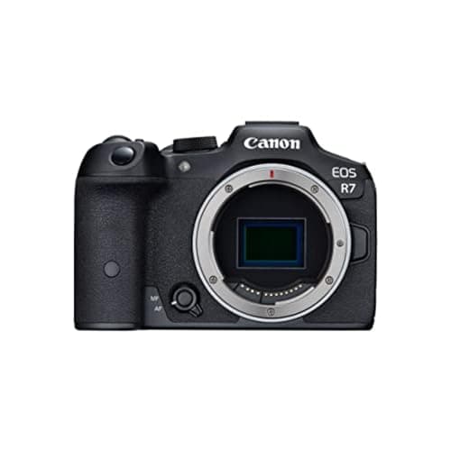 Picture of Canon EOS R7