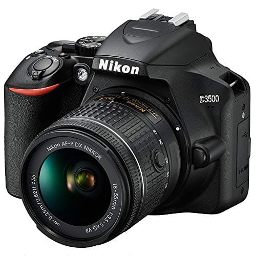 Picture of Nikon D3500
