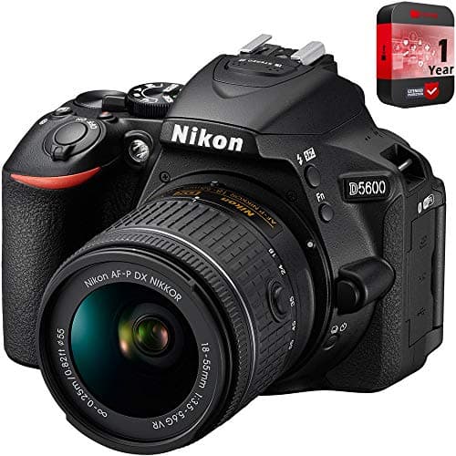 Picture of Nikon D5600