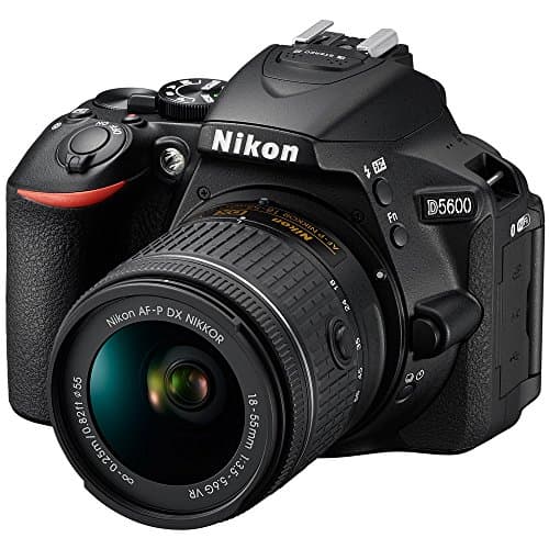 Variant image 1 of Nikon D5600
