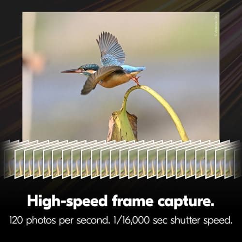 Variant image 4 of Nikon Z6III