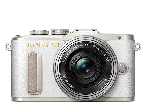 Picture of Olympus PEN E-PL8