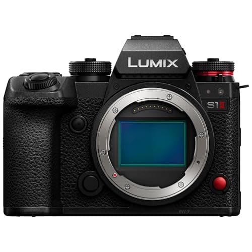 Picture of Panasonic Lumix S1