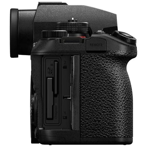 Variant image 1 of Panasonic Lumix S1