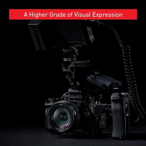 Variant image 8 of Panasonic Lumix S5IIX