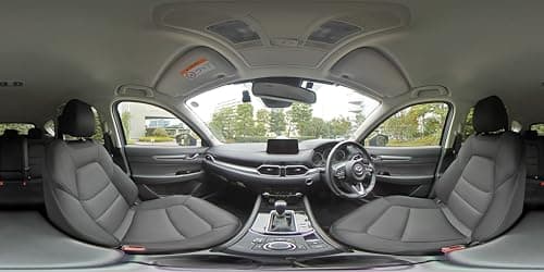 Variant image 5 of Ricoh Theta V