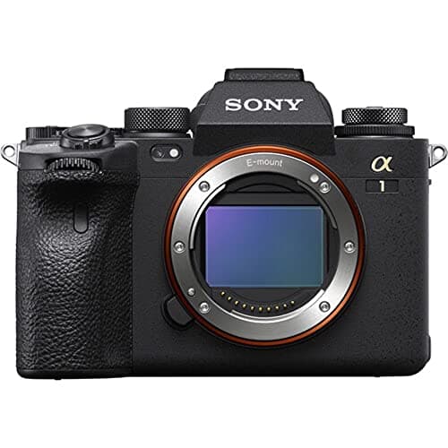 Picture of Sony a1