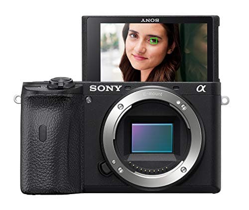 Variant image 0 of Sony a6600