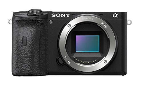 Variant image 1 of Sony a6600
