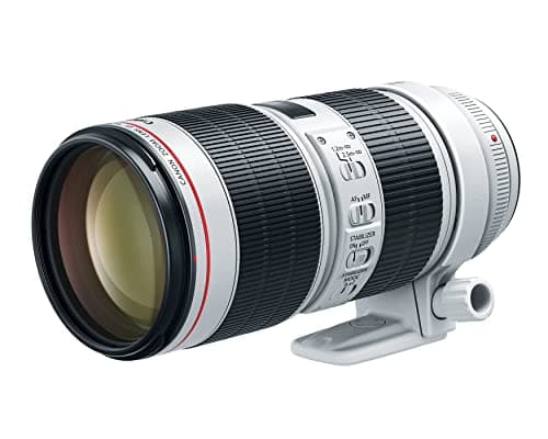 Picture of Canon EF 70-200mm F2.8L IS III USM